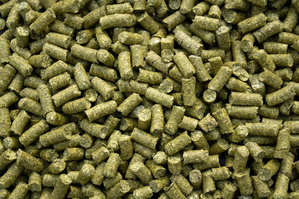 Sainfoin Pellets
